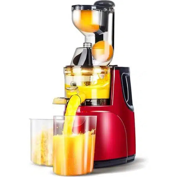 800w Electric Slow Juicer