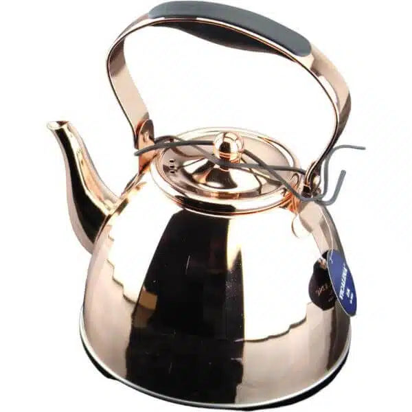 3L Stainless Steel Tea Kettle