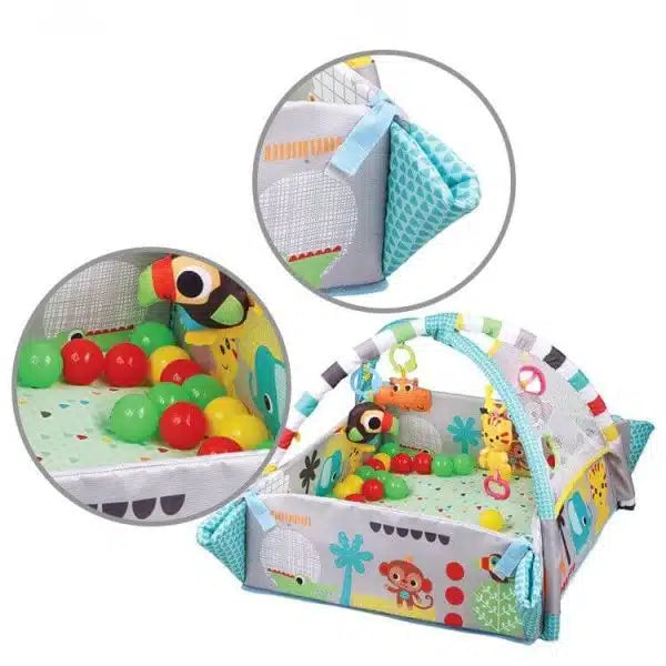 5 in 1 Activity Gym and Ball Pit