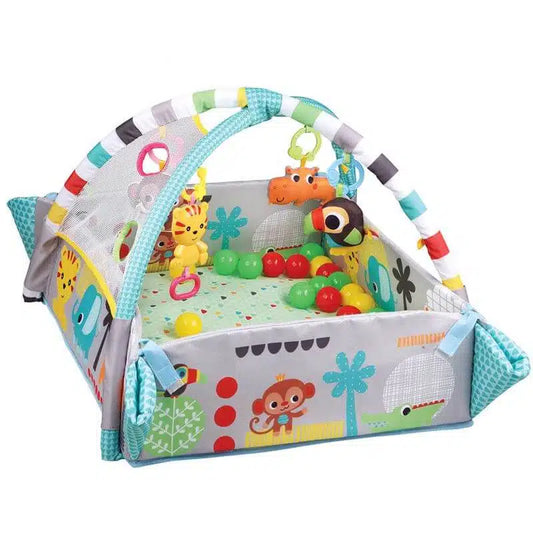 5 in 1 Activity Gym and Ball Pit