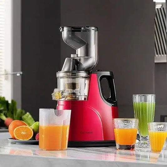 800w Electric Slow Juicer