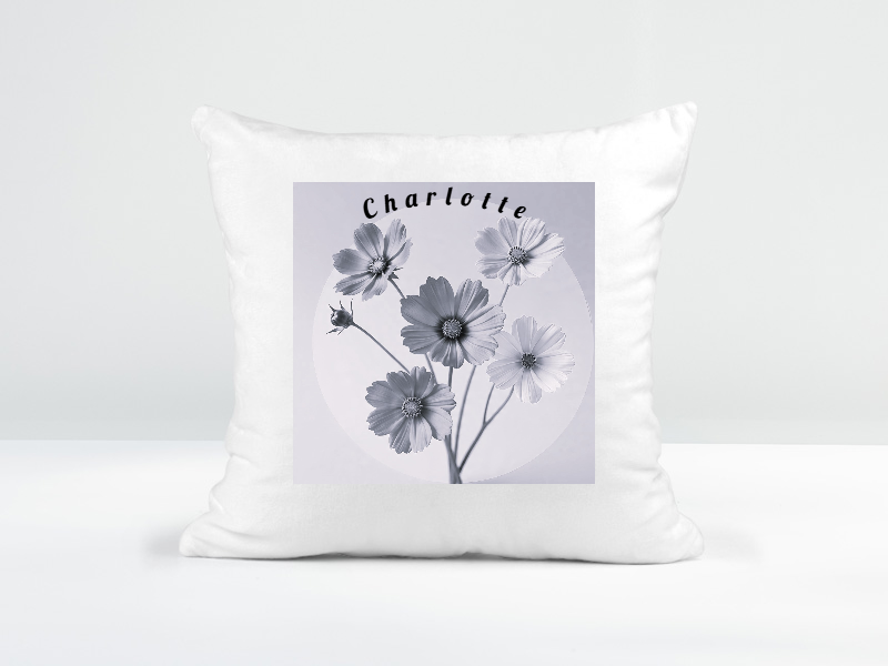 Customized Black and White Scatter Cushion