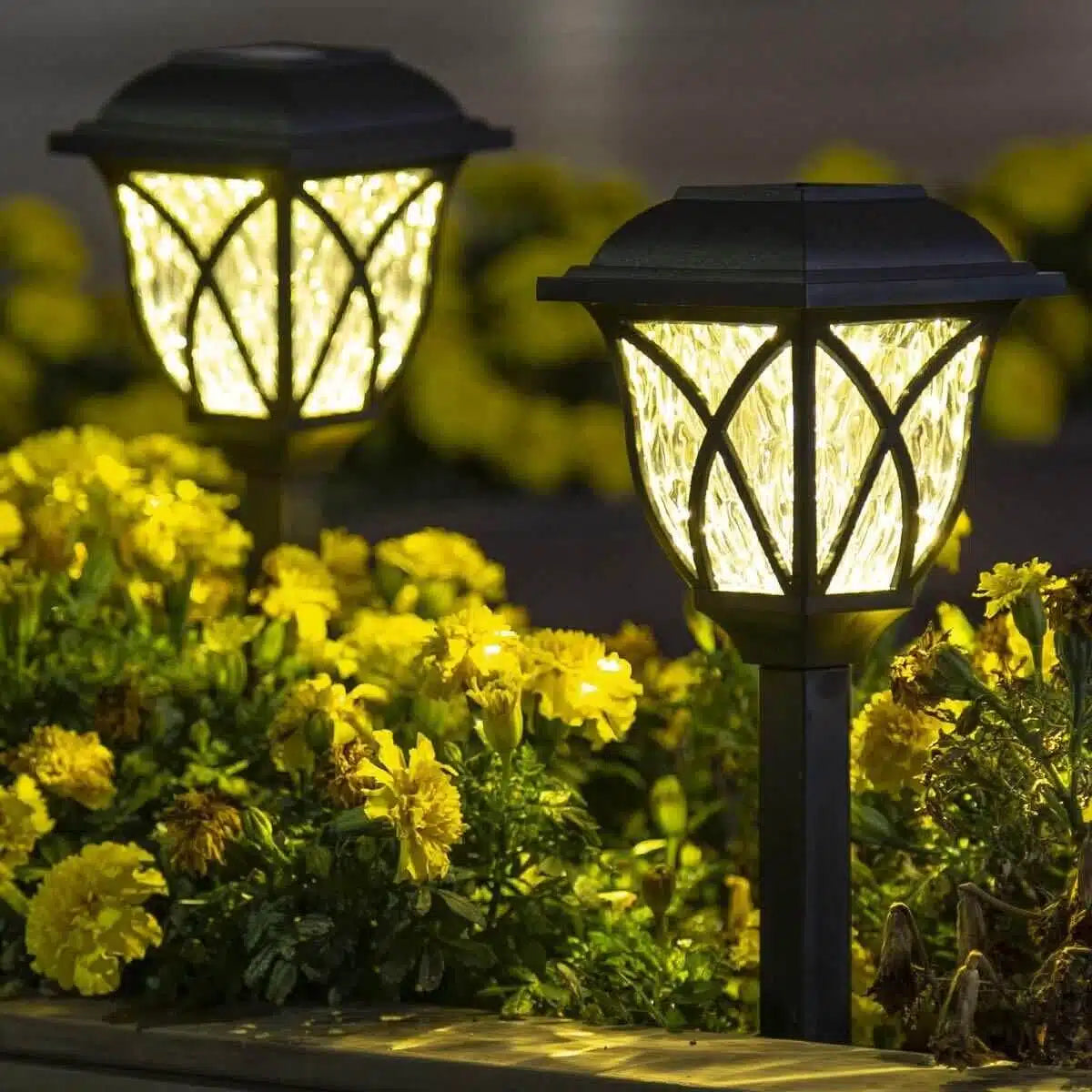 Solar Power Garden Lights